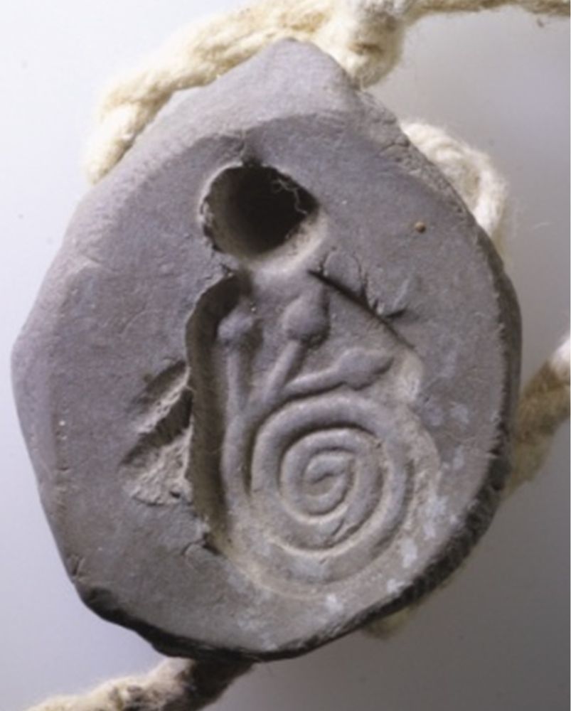 Photograph of this seal