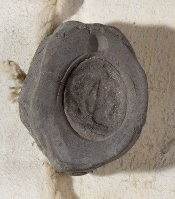 Photograph of this seal