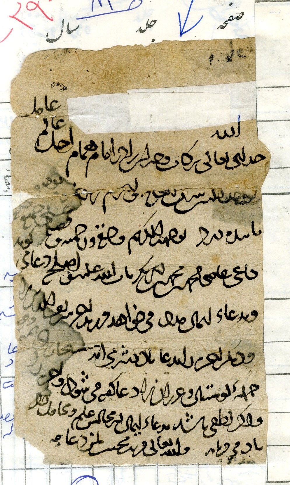 New Persian: Afghanistan National Archives, Firuzkuh 66: Folio (recto)