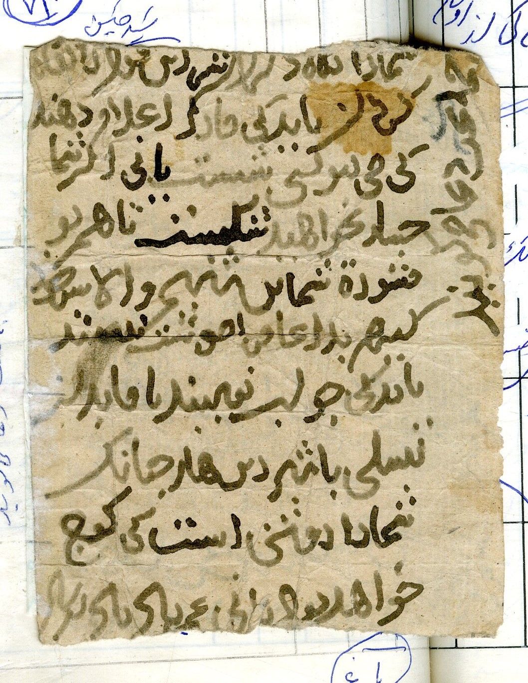 New Persian: Afghanistan National Archives, Firuzkuh 75, verso: Folio (recto)