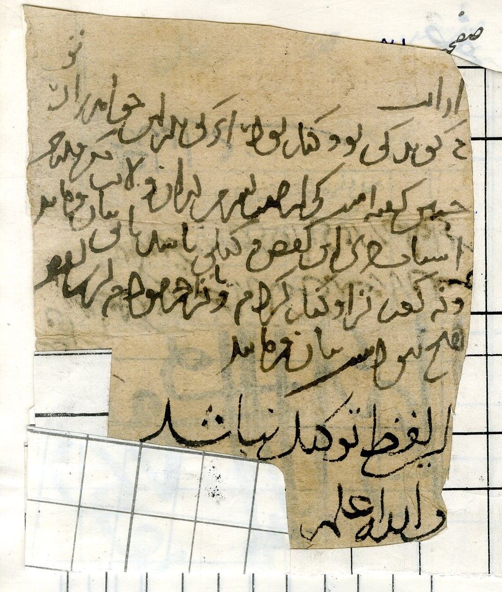 New Persian: Afghanistan National Archives, Firuzkuh 83: Folio (recto)