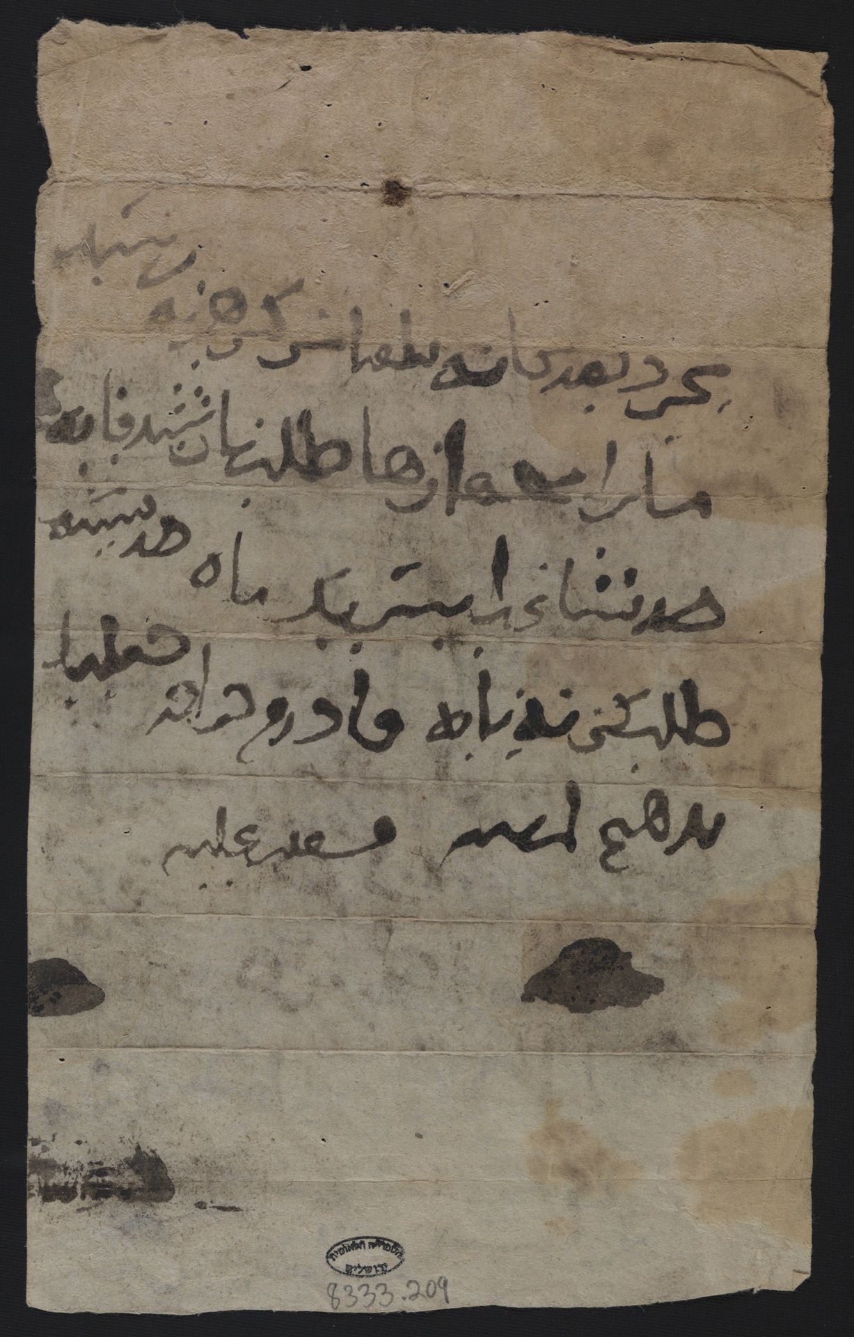 New Persian: National Library of Israel, Ms.Heb.8333.209: Folio (verso)