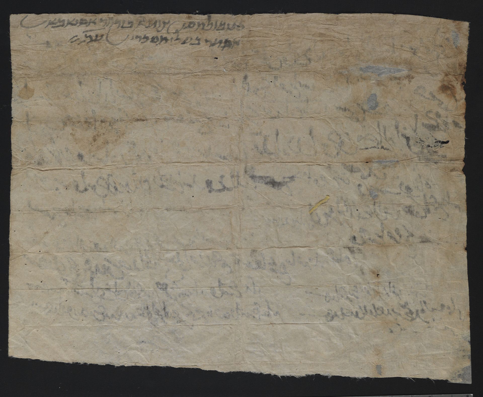 New Persian: National Library of Israel, Ms.Heb.8333.217: Folio (verso)