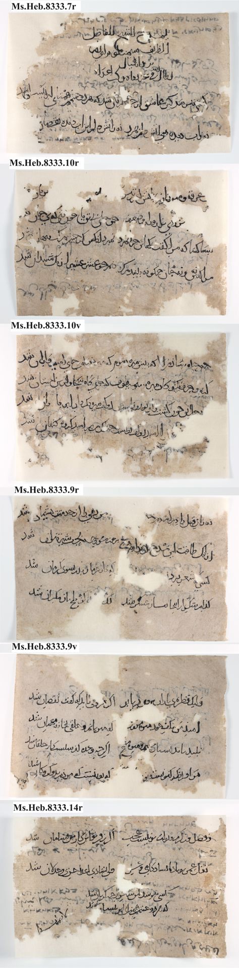 New Persian: National Library of Israel, Ms.Heb.8333.7v, 10r, 10v, 9r, 9v, 14r: Folio (recto)